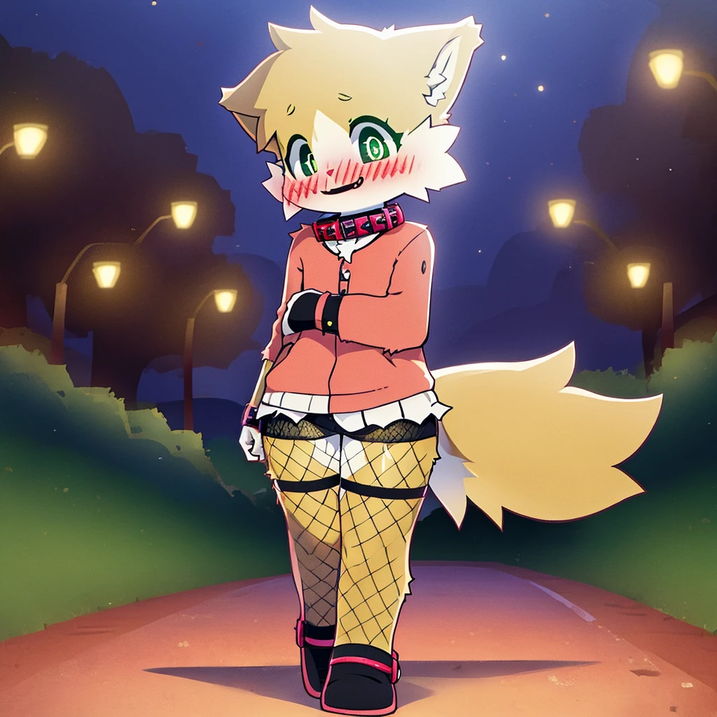 art by dagasi, (solo:1.5), Best Quality, Masterpiece, (Absurdres:), Detailed, Ultra-Detailed, Digital Art, correct anatomy, arms in correct position, full body, (high quality, high res, 4k:1.2), (kid:1.5), (small, youthful), rolo, furry, small, (kid female:1.3), fluffy, light orange fur, green cat eyes, (beautiful eyes), juicy thighs, flushed, embarrassed, small nervous smile, blushing, fluffy tail, eyelashes, slightly enjoying, walking through the park, on a very dark night, very dark, no light, wearing fishnet stockings, (wearing fishnet sleeves:1.2), (red collar:1.2), (spiked collar:1.1), SFW, lingerie