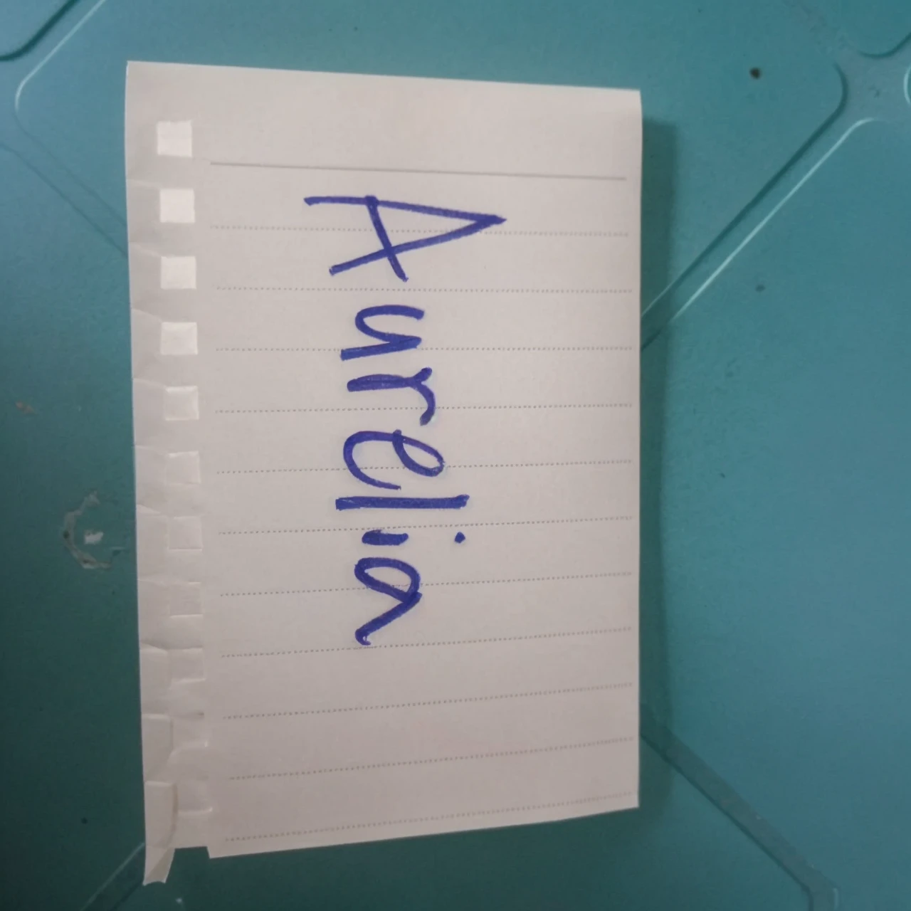 19 yr old girl holding a clear paper with only "Aurelia" Written on it reaslistic