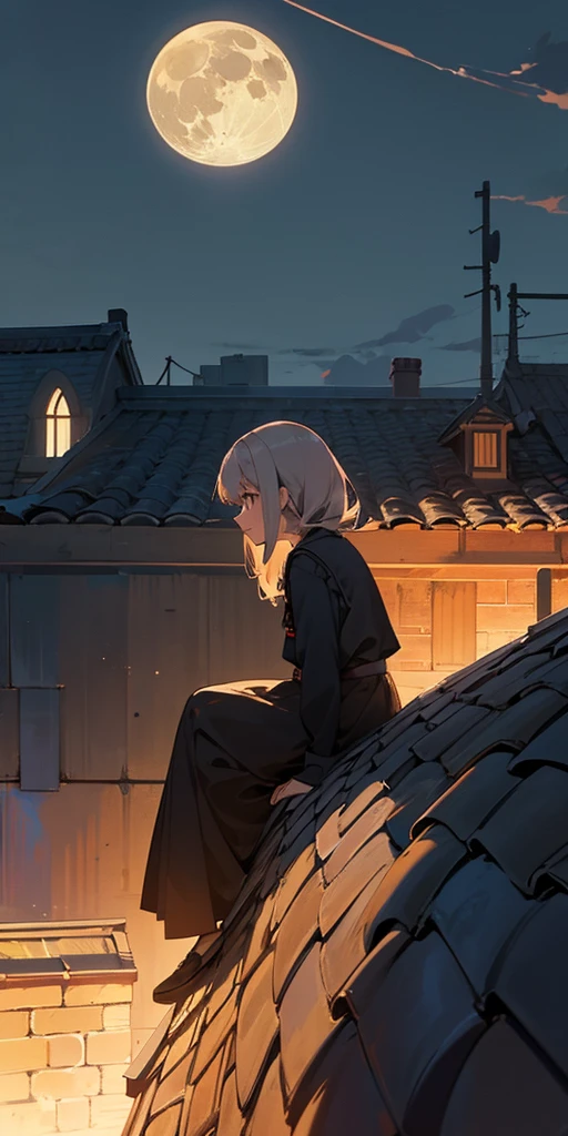 a girl sitting on top of a brick wall, roof background, sits on a rooftop, girl sitting on a rooftop, in a rooftop, anime atmospheric, rooftop romantic, sad lonely mellow vibes, standing on rooftop, watching the sun set. anime, looking at the moon, standing on a rooftop, night background, in front of the moon, rooftop