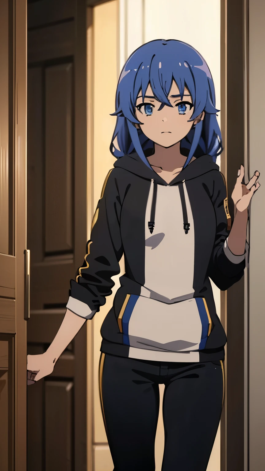 (masterpiece, best quality, high resolution, 8k:1.2),(anime), Roxy_Migurdia(mushoku tensei), 1girl, Blue eyes, Crimson blue hair, twin braids, long hair, small breasts, (Hoodie, loose pants:1.2), (watching at viewers:1.2), dynamic angles,