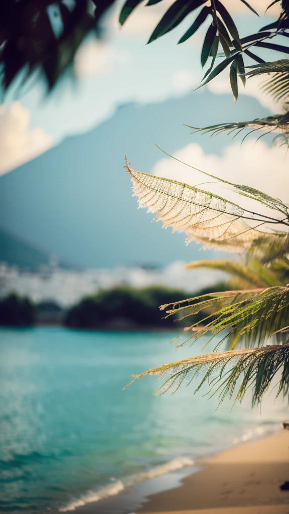 Summer Dream,Photography,Random,looking for inspiration,HD,Details,Best quality