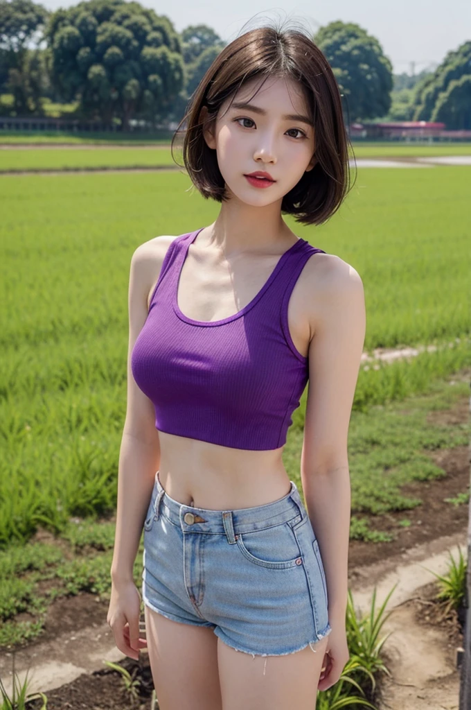 A very cute girl, solo, young, wearing purple tank top and short pants, big breasts, white and smooth skin, standing, full body, medium hairs, red lip, at rice field, realistic face