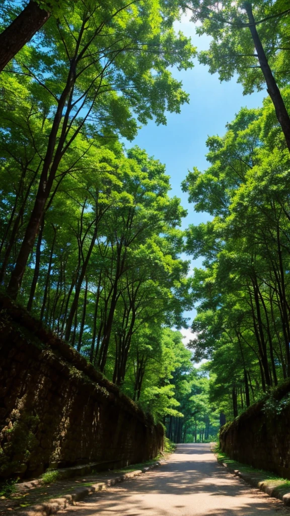 Best quality, Anime, nature,
