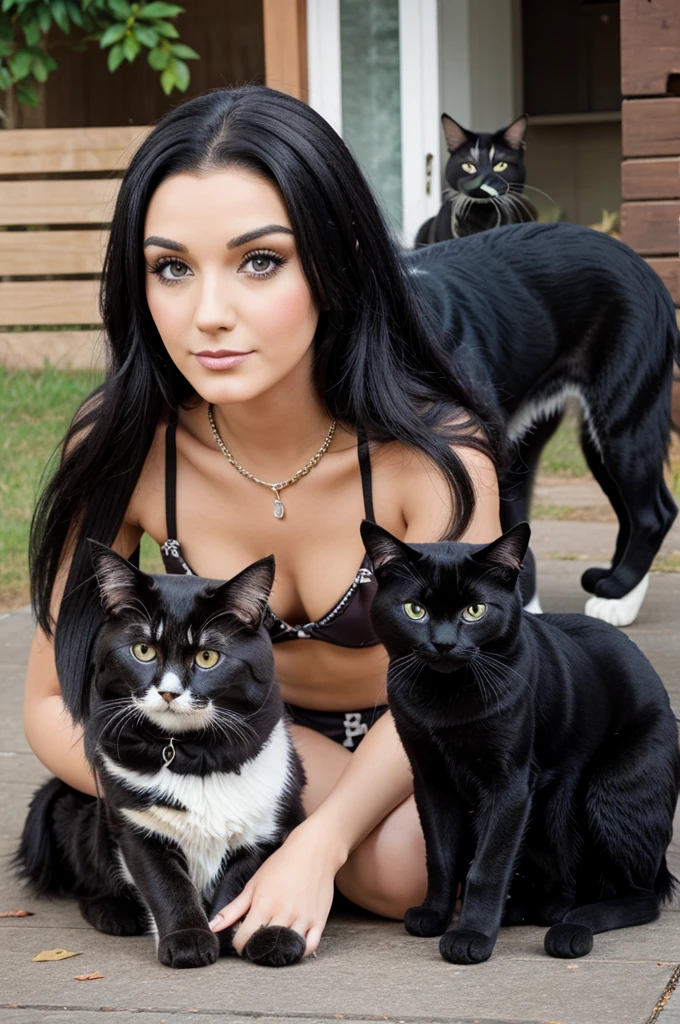 Make a dog and cats
Miw photo