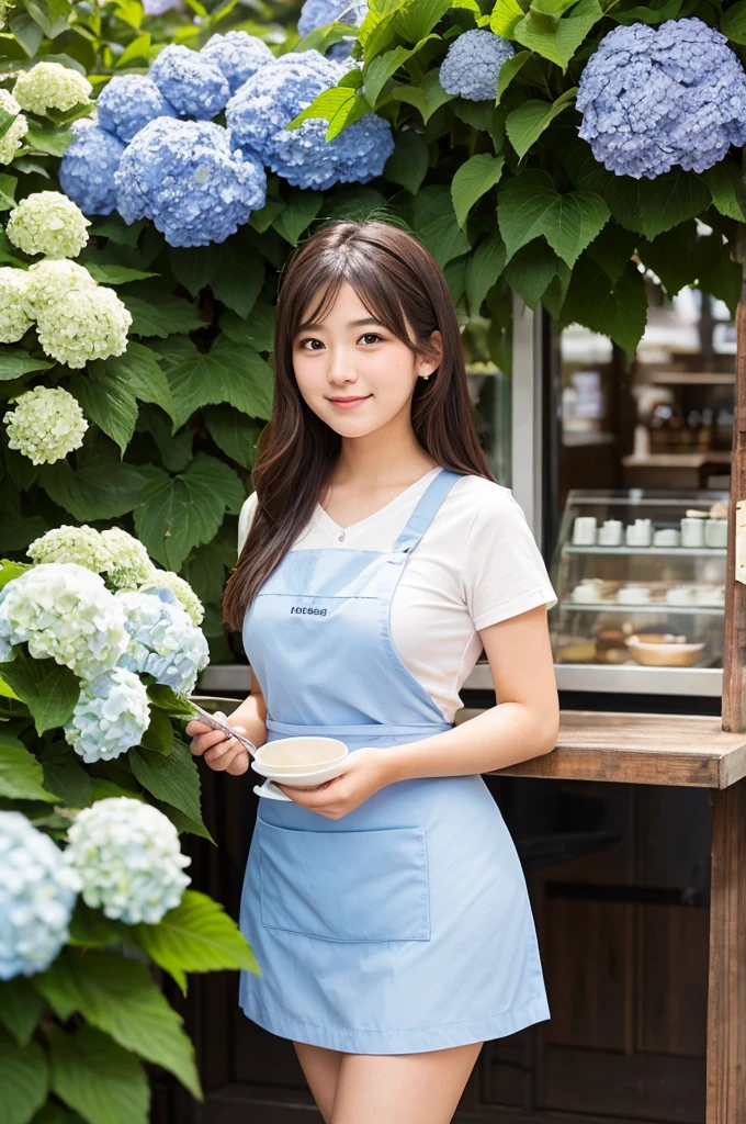 A 20-year-old girl working at a cafe where hydrangeas are blooming(Wearing a miniskirt and apron)