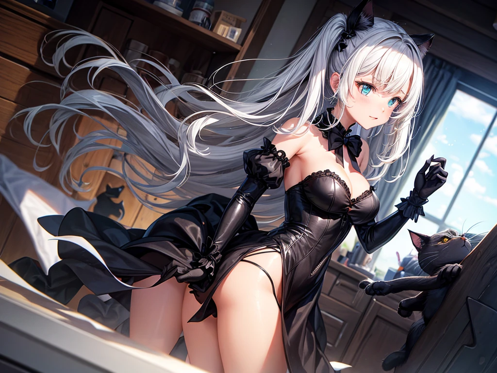Black cat