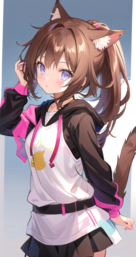 Brown Hair Cat ear ponytail cute No background