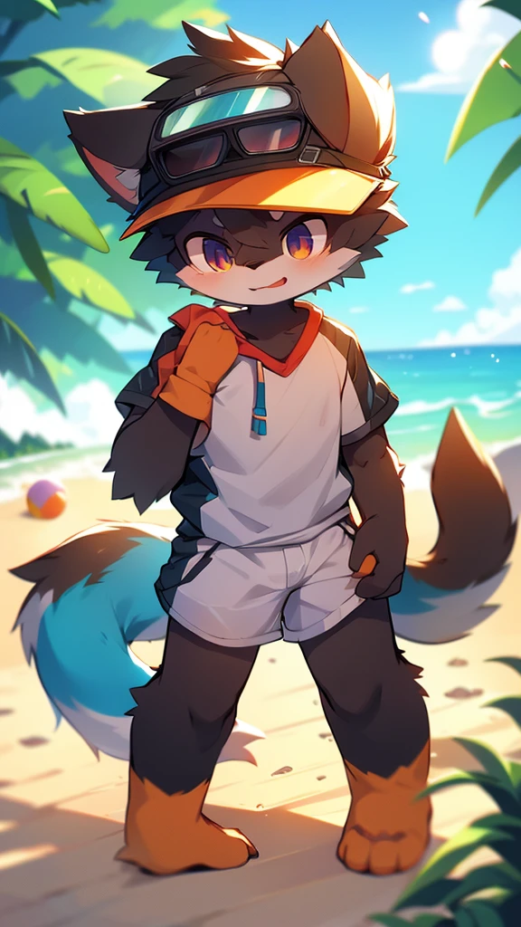 author:jrjresq, author:Kirito, mammal, furry, male, Alone, knew, visor,Beach Soccer