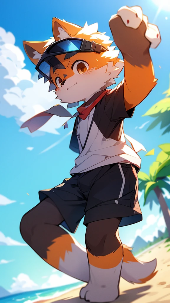 author：jrjresq, author：Kirito, mammal, furry, male, Alone, knew, visor,Beach Soccer