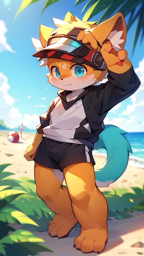 author:jrjresq, author:Kirito, mammal, furry, male, Alone, knew, visor,Beach Soccer