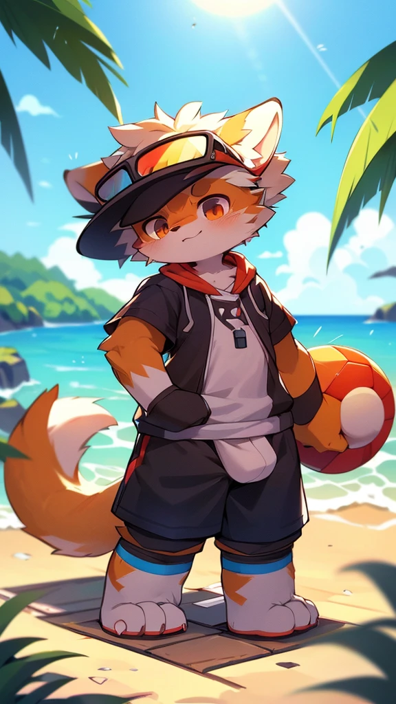 author:jrjresq, author:Kirito, mammal, furry, male, Alone, knew, visor,Beach Soccer,femboy,NSFW