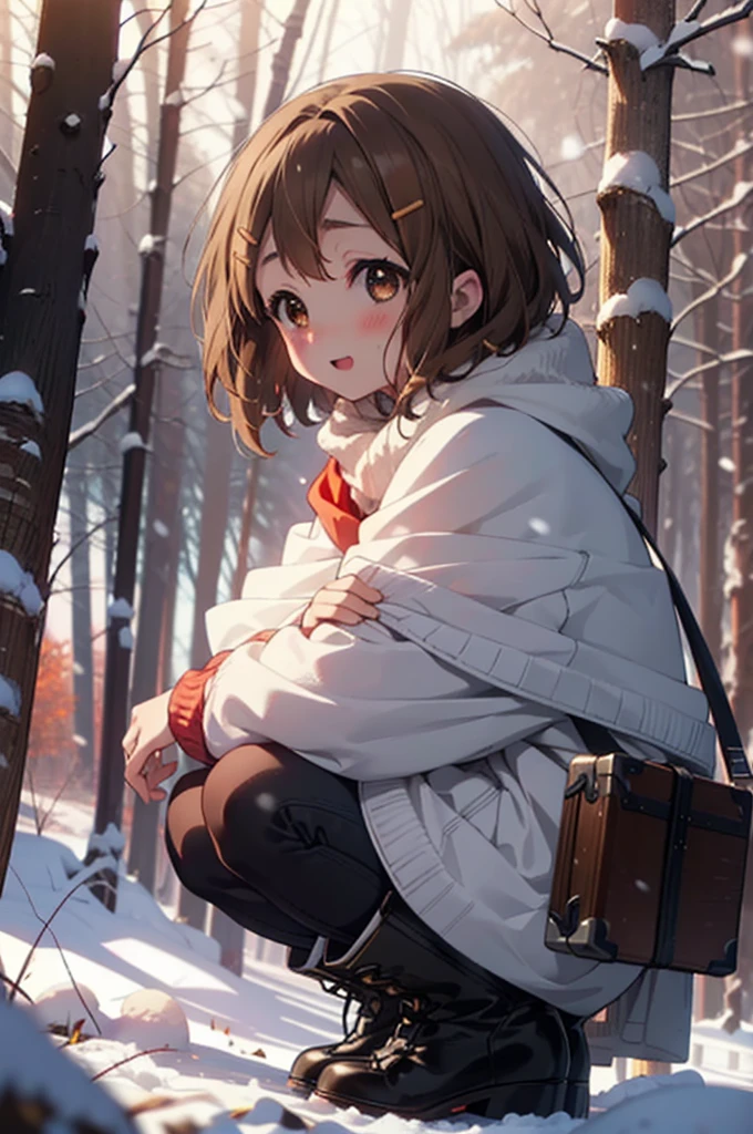 yuihirasawa, Yui Hirasawa, short hair, Brown Hair, hair ornaments, (Brown eyes:1.5), Hair Clip、smile,smile,blush,White Breath,
Open your mouth,snow,Ground bonfire,, Outdoor, boots, snowing, From the side, wood, suitcase, Cape, Blurred, , forest, White handbag, nature, Squat, Mouth closed, Cape, winter, Written boundary depth, Black shoes, red Cape break looking at viewer, Upper Body, whole body, break Outdoor, forest, nature, break (masterpiece:1.2), Highest quality, High resolution, unity 8k wallpaper, (shape:0.8), (Beautiful and beautiful eyes:1.6), Highly detailed face, Perfect lighting, Extremely detailed CG, (Perfect hands, Perfect Anatomy),
