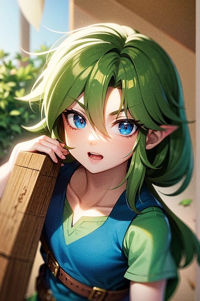 Link from The Legend of Zelda