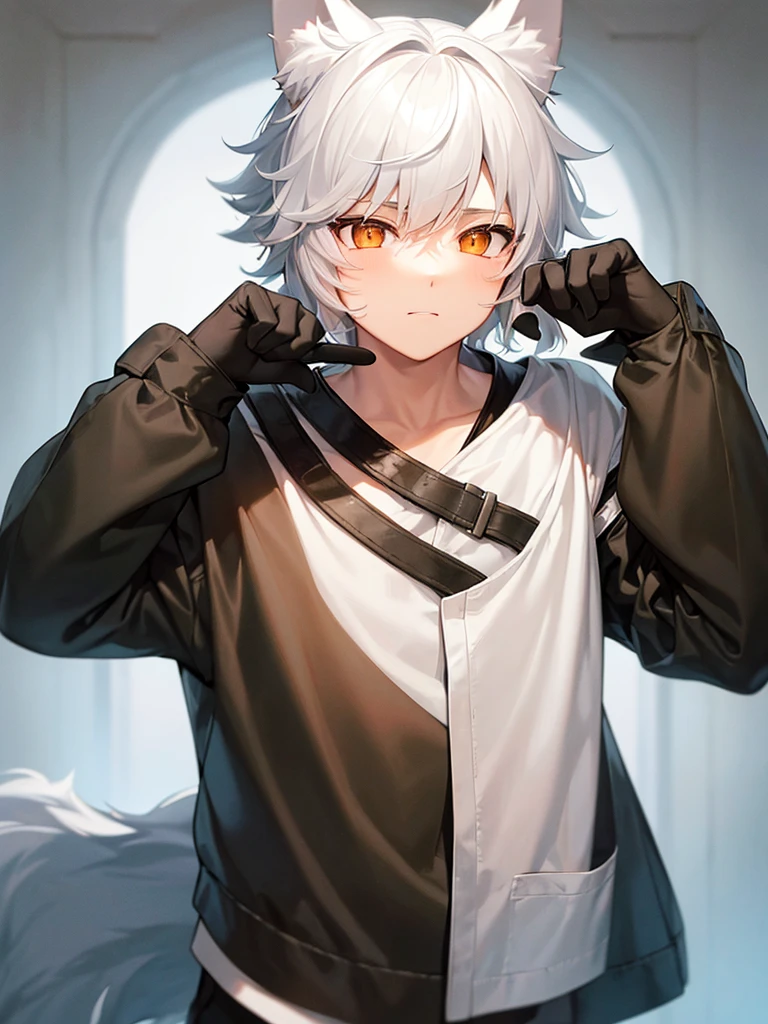 Boy, cute face, wolf ears, white haired, orange eyes