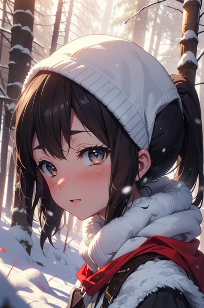 is, Azusa Nakano, Black Hair, (Brown eyes:1.5), Long Hair, ,ponytail,smile,smile,blush,White Breath,
Open your mouth,snow,Ground bonfire,, Outdoor, boots, snowing, From the side, wood, suitcase, Cape, Blurred, , forest, White handbag, nature, Squat, Mouth closed, Cape, winter, Written boundary depth, Black shoes, red Cape break looking at viewer, Upper Body, whole body, break Outdoor, forest, nature, break (masterpiece:1.2), Highest quality, High resolution, unity 8k wallpaper, (shape:0.8), (Beautiful and beautiful eyes:1.6), Highly detailed face, Perfect lighting, Extremely detailed CG, (Perfect hands, Perfect Anatomy),