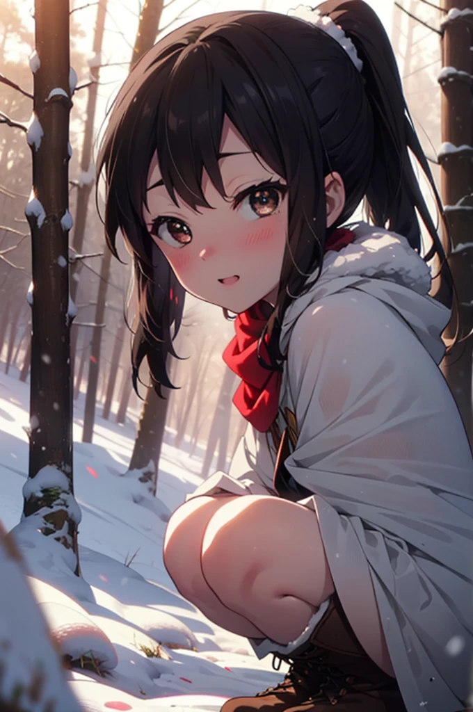 is, Azusa Nakano, Black Hair, (Brown eyes:1.5), Long Hair, ,ponytail,smile,smile,blush,White Breath,
Open your mouth,snow,Ground bonfire,, Outdoor, boots, snowing, From the side, wood, suitcase, Cape, Blurred, , forest, White handbag, nature,  Squat, Mouth closed, Cape, winter, Written boundary depth, Black shoes, red Cape break looking at viewer, Upper Body, whole body, break Outdoor, forest, nature, break (masterpiece:1.2), Highest quality, High resolution, unity 8k wallpaper, (shape:0.8), (Beautiful and beautiful eyes:1.6), Highly detailed face, Perfect lighting, Extremely detailed CG, (Perfect hands, Perfect Anatomy),