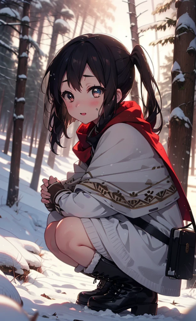is, Azusa Nakano, Black Hair, (Brown eyes:1.5), Long Hair, ,Twin tails,smile,smile,blush,White Breath,
Open your mouth,snow,Ground bonfire,, Outdoor, boots, snowing, From the side, wood, suitcase, Cape, Blurred, , forest, White handbag, nature,  Squat, Mouth closed, Cape, winter, Written boundary depth, Black shoes, red Cape break looking at viewer, Upper Body, whole body, break Outdoor, forest, nature, break (masterpiece:1.2), Highest quality, High resolution, unity 8k wallpaper, (shape:0.8), (Beautiful and beautiful eyes:1.6), Highly detailed face, Perfect lighting, Extremely detailed CG, (Perfect hands, Perfect Anatomy),