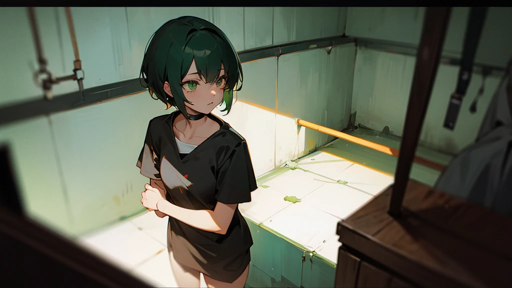 Yandere girl locked up a guy with short hair and green eyes. in the basement 
