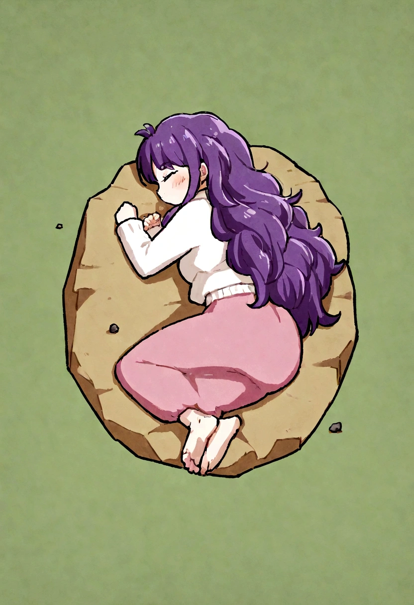 1girl,yamcha,rock green background,purple hair,long hair,sleep
