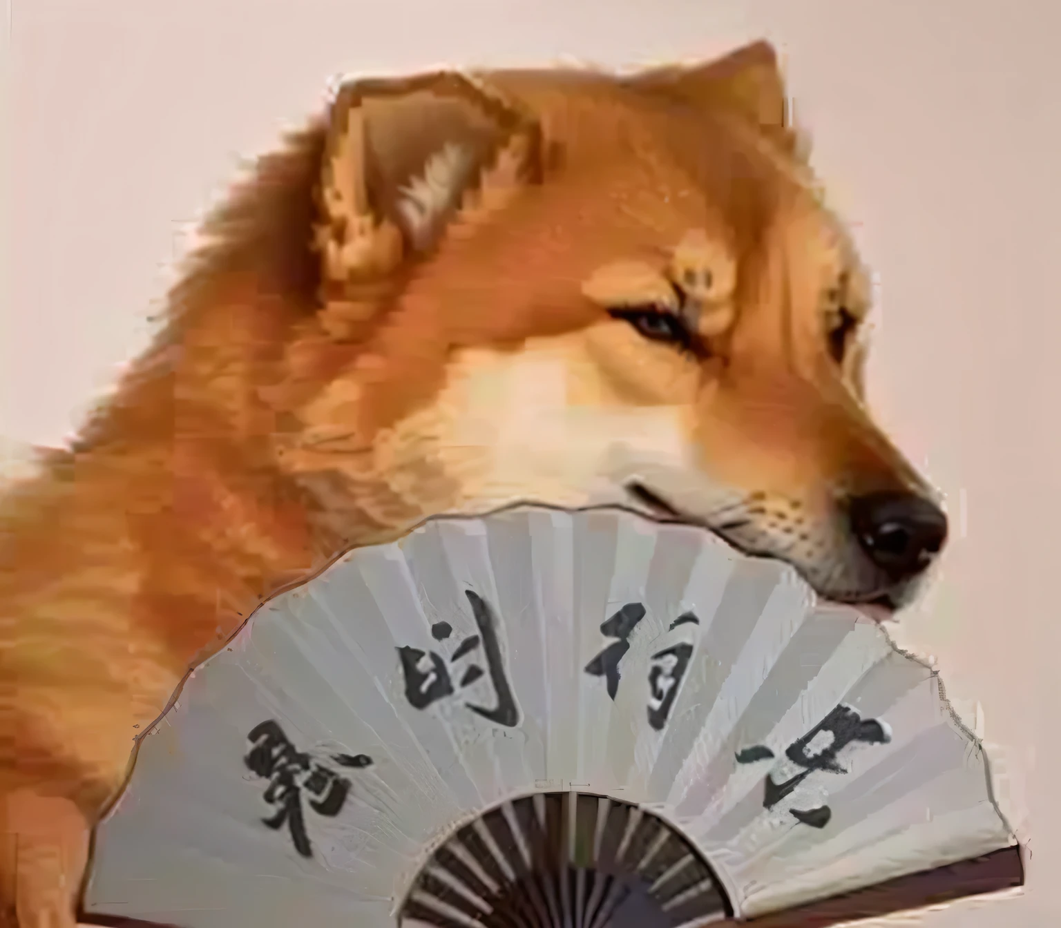 Alafi dog holding a fan with Chinese characters, Governor meme, Japanese Dog, Governor, Dog, inspired author： Chi Mansion, Shiba Inu, anthropomorphic Shiba Inu, author： Chi Mansion, Man, Reddit memes, Shiba Inu dog, Shiba Inu face