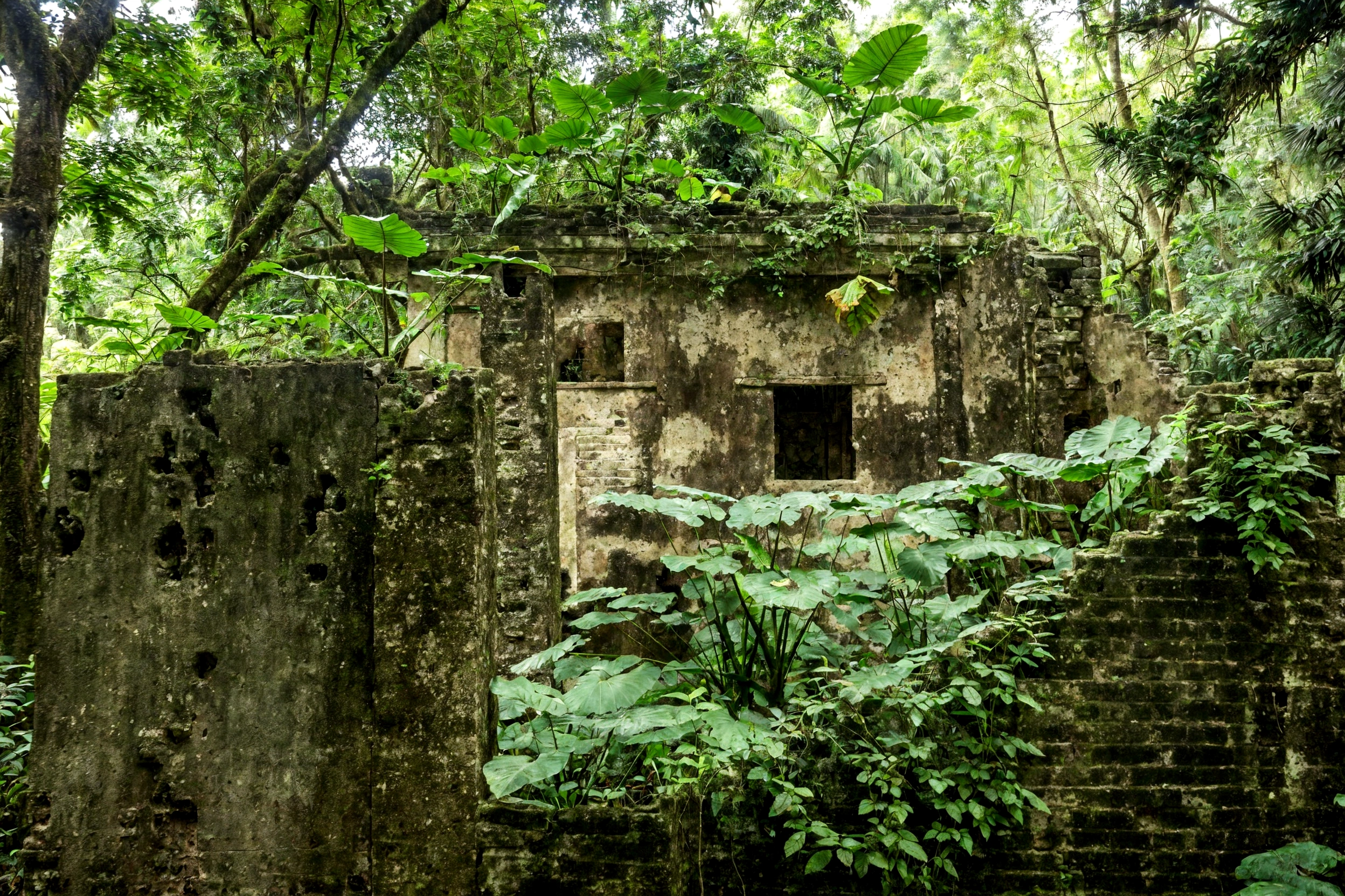 there is a small building in the middle of a forest, overgrown jungle ruins, ancient ruins in the forest, overgrown ruins, ancient overgrown ruins, overgrown jungle, old ruins, ancient magical overgrown ruins, mayan temple in the jungle, secret overgrown temple, abandoned ruins, jungle background with ruins, crumbling ruins, overgrown with lush plants