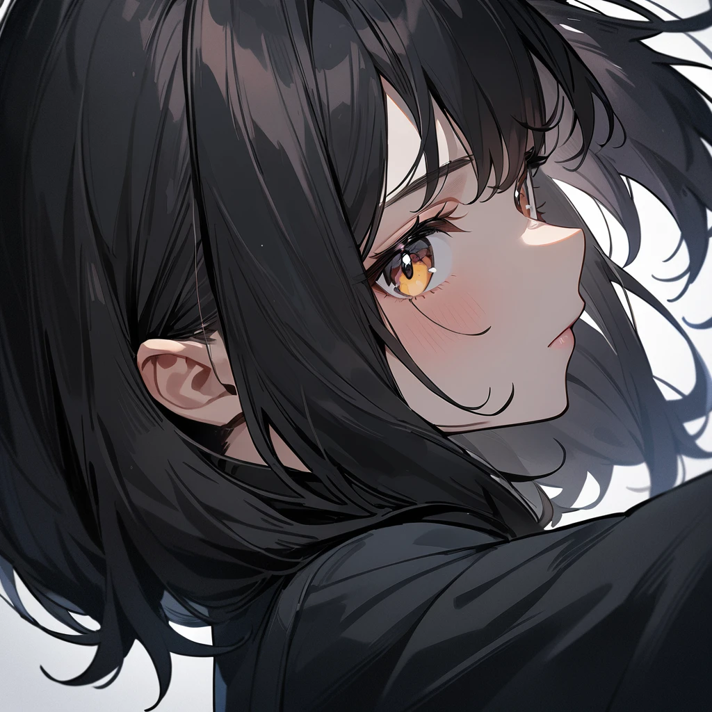1 girl,Solo,wolf hair,(black hair:1),portrait,masterpiece, best quality, very aesthetic, absurdres,looking at viewer,split,(Matte),(学ラン)