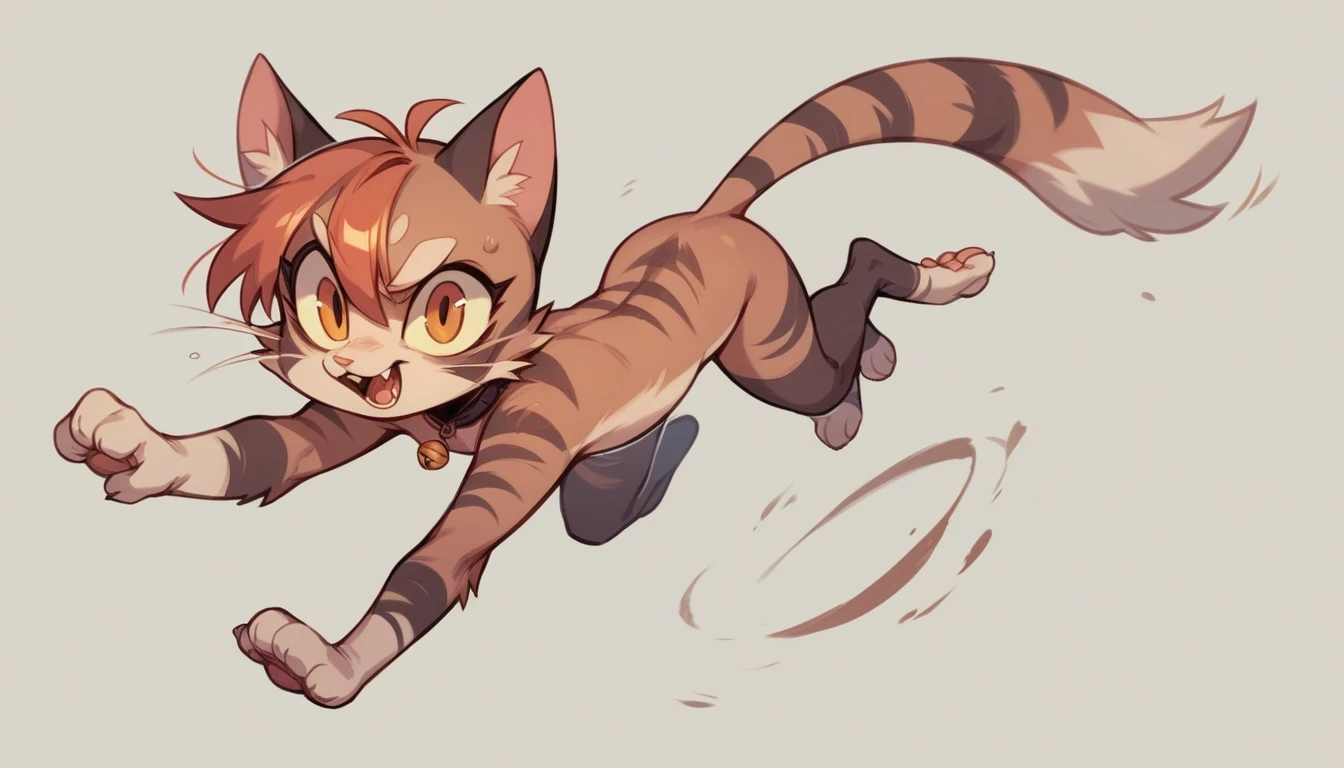 Jumping cat