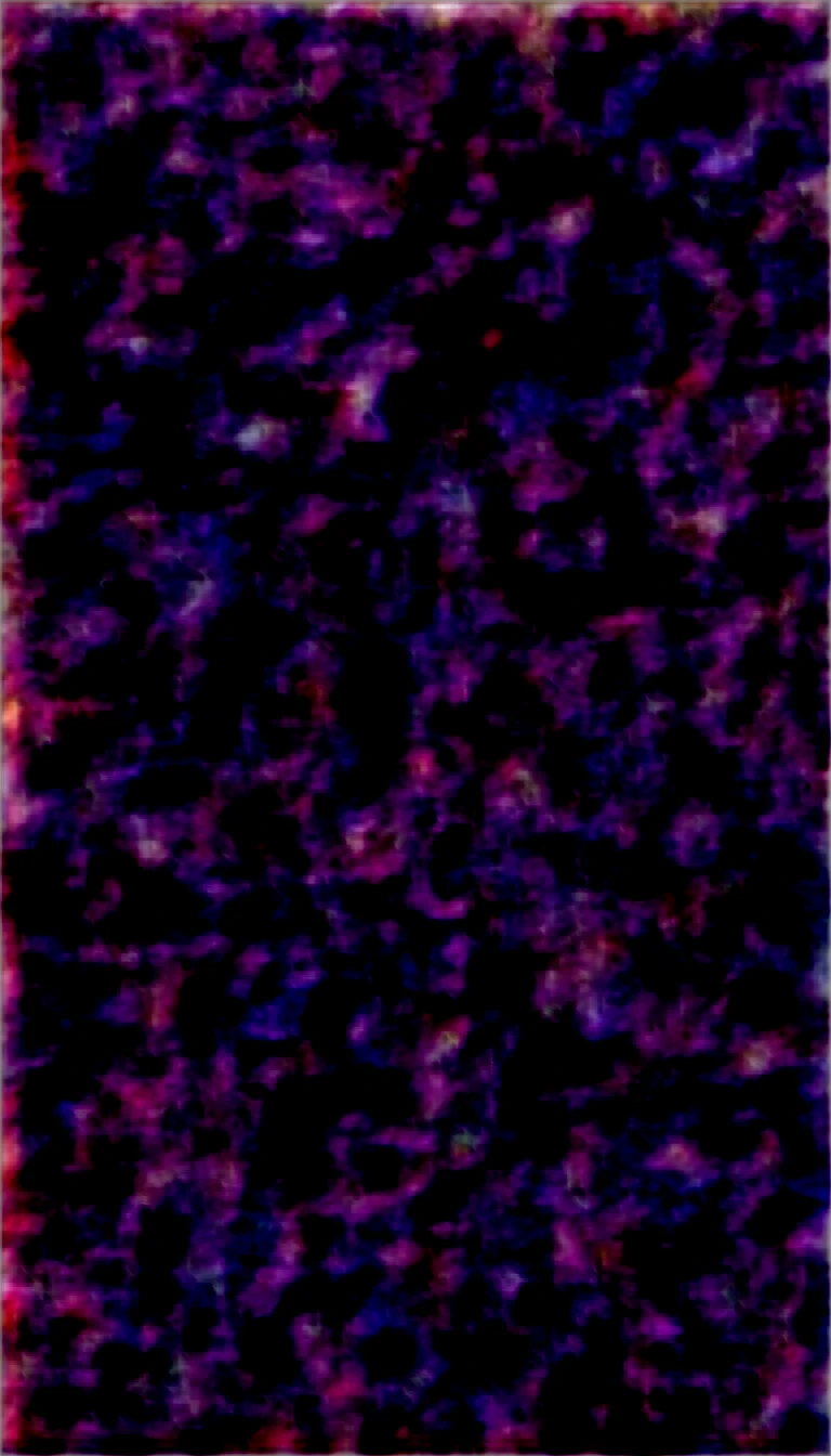 (masterpiece, best quality:1.4),1 boy and 1girl are having sex on bed,laffey /(Azur Lane/), vaginal,sex,back, (disdain), tears, blush, (looking at viewer),(cum in pussy:1.4)