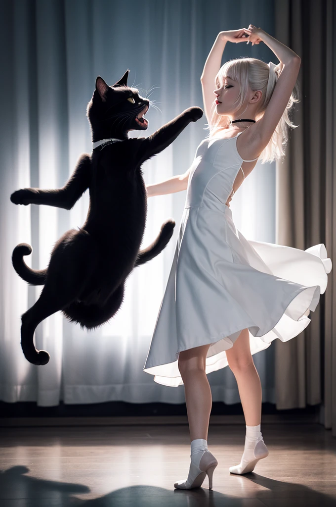 A black cat and a white cat dancing at night