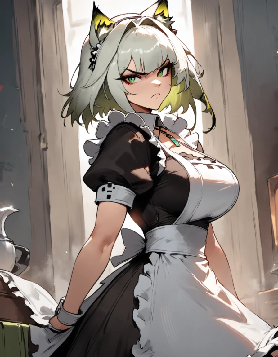1girl, kal'tsit \(arknights\), arknights \\\\\ masterpiece, best quality, very aesthetic, absurdres, newest \\\\\\ slim body,///// ,by nyantcha,cutesexyrobutts , by khyle,,////// beautiful face, sexy, serious, angry, green eyes, animal ears, big tits,victorian maid
, solo,maid uniform, ,skirt, black and white clothes
