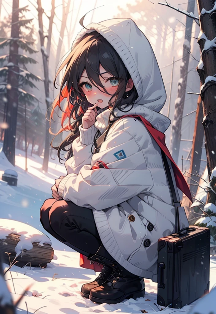Shana,灼眼のShana,Long Hair, Redhead, Red eyes,Ahoge,,smile,blush,White Breath,
Open your mouth,snow,Ground bonfire, Outdoor, boots, snowing, From the side, wood, suitcase, Cape, Blurred, , forest, White handbag, nature, Squat, Mouth closed, Cape, winter, Written boundary depth, Black shoes, red Cape break looking at viewer, Upper Body, whole body, break Outdoor, forest, nature, break (masterpiece:1.2), Highest quality, High resolution, unity 8k wallpaper, (shape:0.8), (Beautiful and beautiful eyes:1.6), Highly detailed face, Perfect lighting, Highly detailed CG, (Perfect hands, Perfect Anatomy),