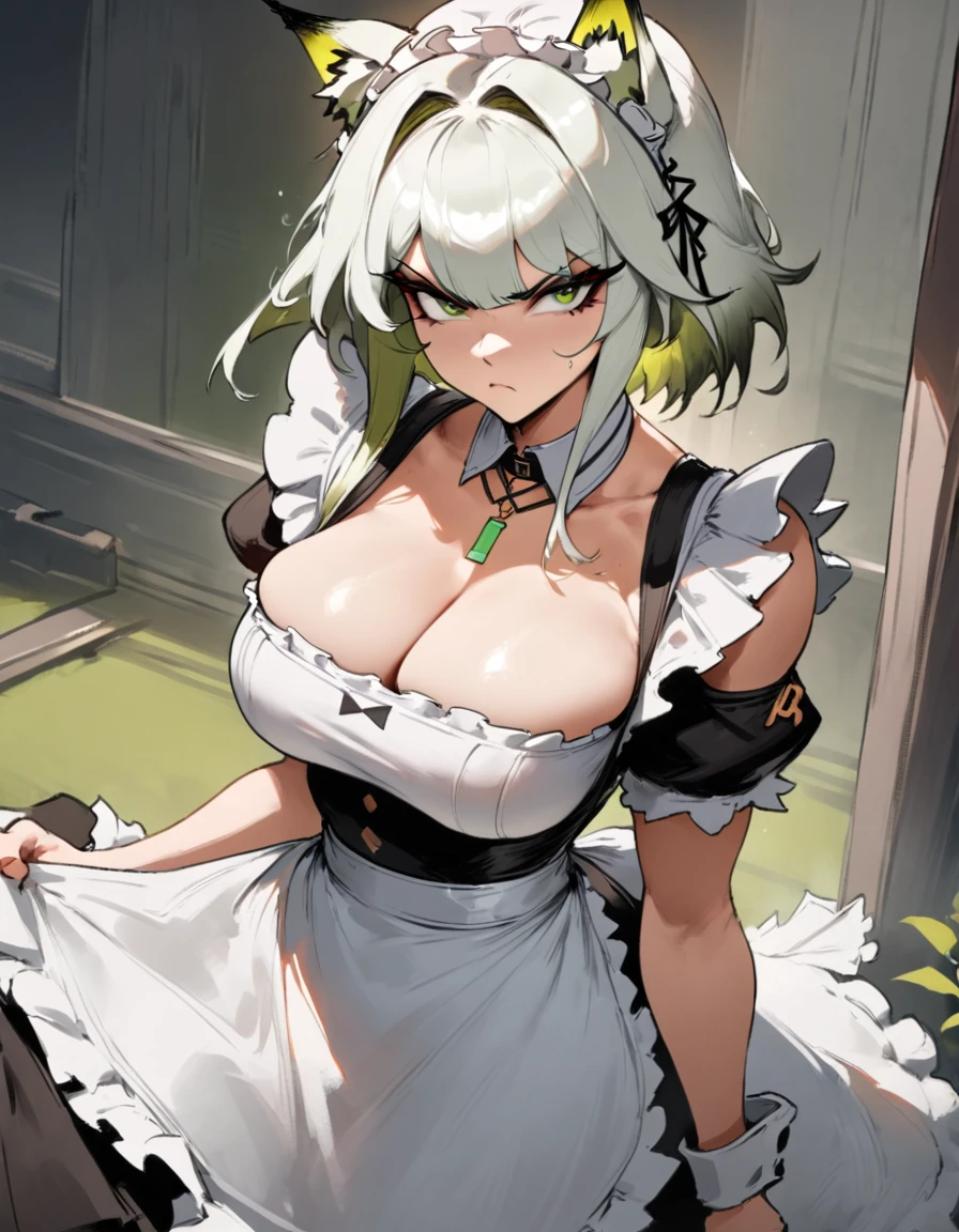 1girl, kal'tsit \(arknights\), arknights \\\\\ masterpiece, best quality, very aesthetic, absurdres, newest \\\\\\ slim body,///// ,by nyantcha,cutesexyrobutts , by khyle,,////// beautiful face, sexy, serious, angry, green eyes, animal ears, big tits,victorian maid
, solo,maid uniform, ,skirt, black and white clothes, white background