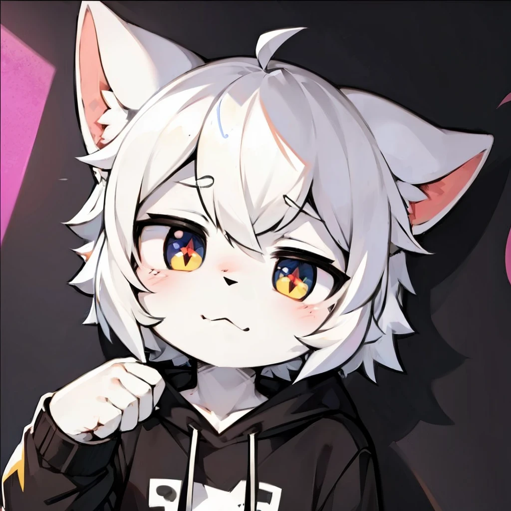 black cat,hairy,furry,Colorful Patterned White Sweatshirt,Black casual pants with white stripes,Q version,cute,Simple art style,Cartoon style,There is little love in the eyes,black pupils,White hair on paws,Black hair on ears, white hair on ear tips,black hair on back,Black tail with white tip,side,dislike,qwq face,sad,Colorful graffiti background, the pupils of the eyes are kinda broken just fix these