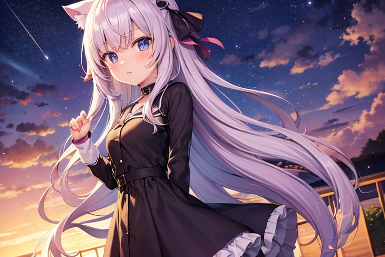 anime nekogirl cute on the side night sky anime style 