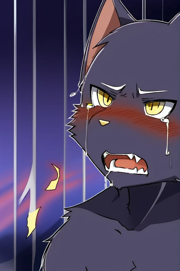 Black cat and wolf、A little purple fur、Slender body、Handsome、Yellow Eyes、blush、tears、Crying face、Ahegao、Close your eyes、Grit your teeth、Displeased face
