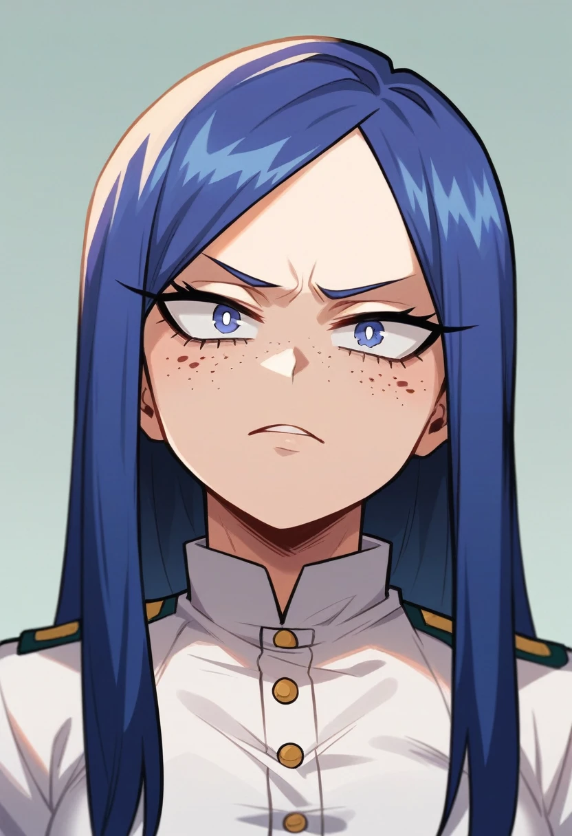 Screenshot of My Hero Academia, a girl with , long hair, almost black, blue with purple reflections., with sapphire blue eyes and purple shadow with long eyelashes slanted eyes a serious look of contempt with purple freckles and with a slight smile using the boku no hero academia UA style