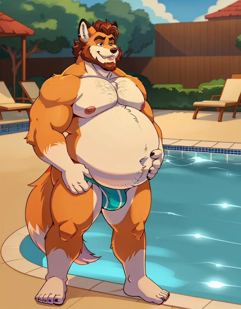 A male chubby anthropomorphic fox with a big belly and a beard , wearing speado, at a pool