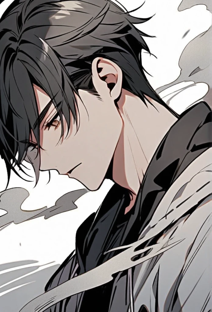 Handsome, solo, 1 male, short hair, black hair with smoke gray hair tips, brown eyes, black shirt, black and white hooded