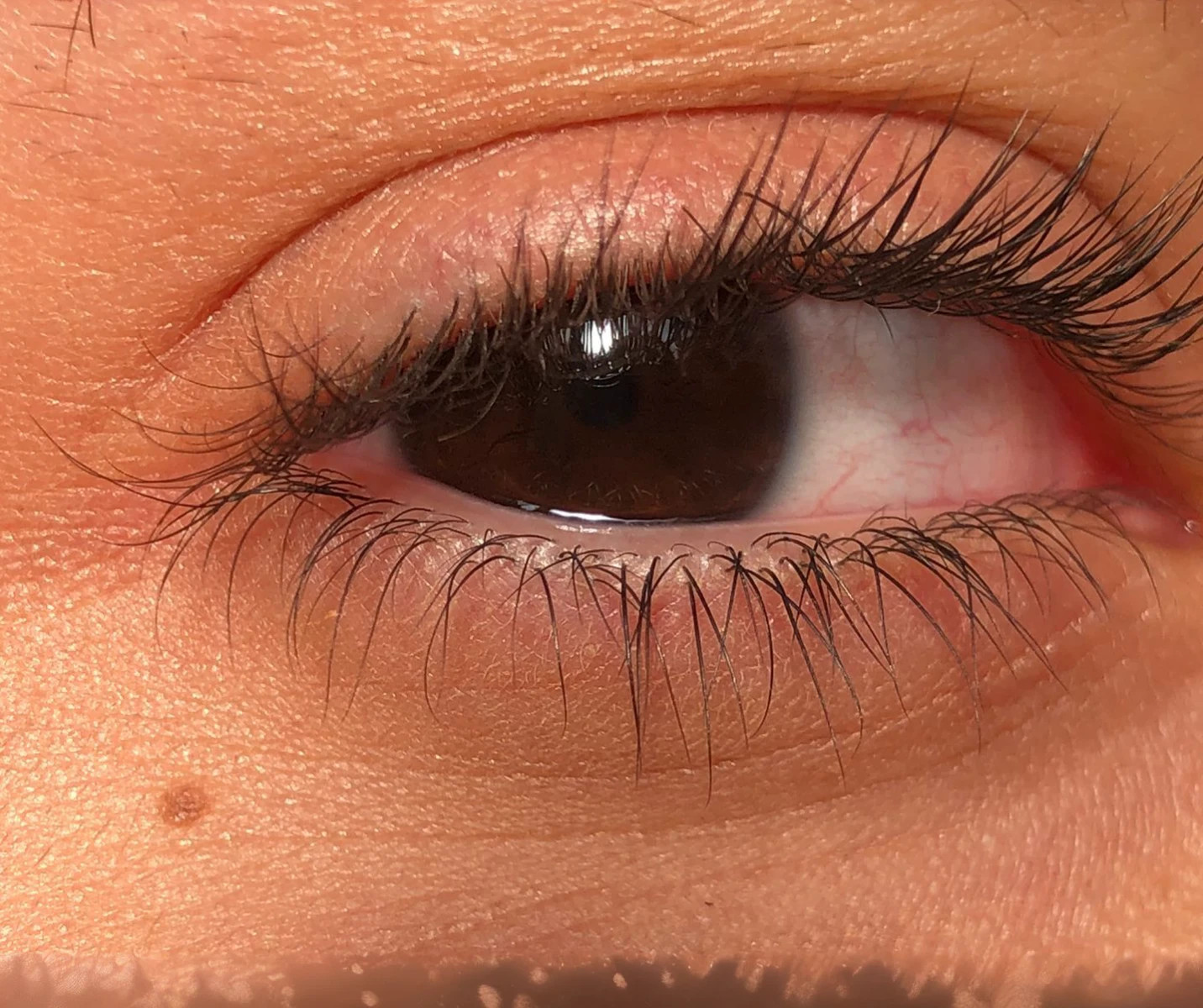 There is a closeup of the eye of a person with long eyelashes, no spot over right eye, no blemish on the right eye, watery red eyes, fully red eyes, no pupils, intense bright red and watery eyes, white around right eye, large red eyes, eye scars, dilated pupil, no yellow color in eyes, white eyes and eyelashes