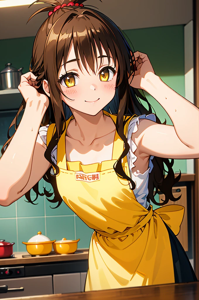 (best quality:1.1), (masterpiece:1.4), (absurdres:1.0), portrait, close up,
1girl, yuuki mikan, brown hair, yellow eyes, hair ornaments, long hair, topknot, wavy hair, small breasts, apron, looking at viewer, kitchen, indoors, happy,
