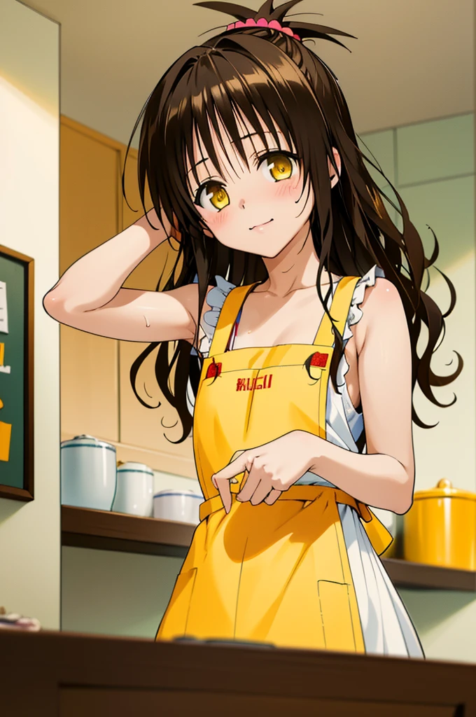 (best quality:1.1), (masterpiece:1.4), (absurdres:1.0), ((nsfw))
1girl, yuuki mikan, brown hair, yellow eyes, hair ornaments, long hair, topknot, wavy hair, small breasts, apron, looking at viewer, kitchen, indoors, happy,
