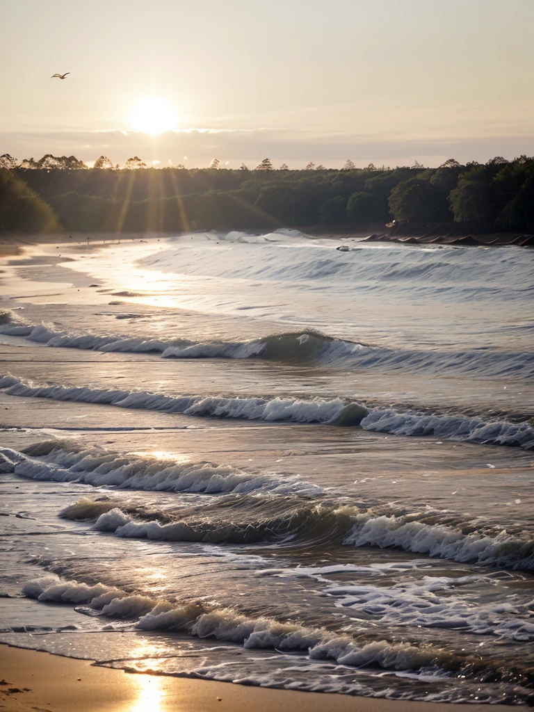 Sunrise on beach with waves on sea and forest behind, seagulls in air, small birds on sand