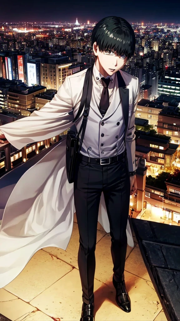 best qualityer, super detaill, work of art, ultra HD, 8K, 1 boy, focus on the boy, whole body, very detailed and flawless, kaneki ken, Tokyo Ghoul, on top of a building at night, blood on hands.