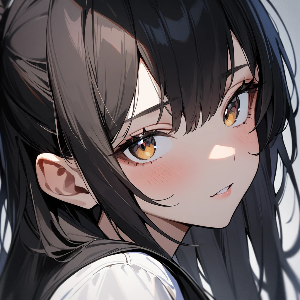 1 girl,Solo,wolf hair,(black hair:1),portrait,masterpiece, best quality, very aesthetic, absurdres,looking at viewer,split,(Matte),