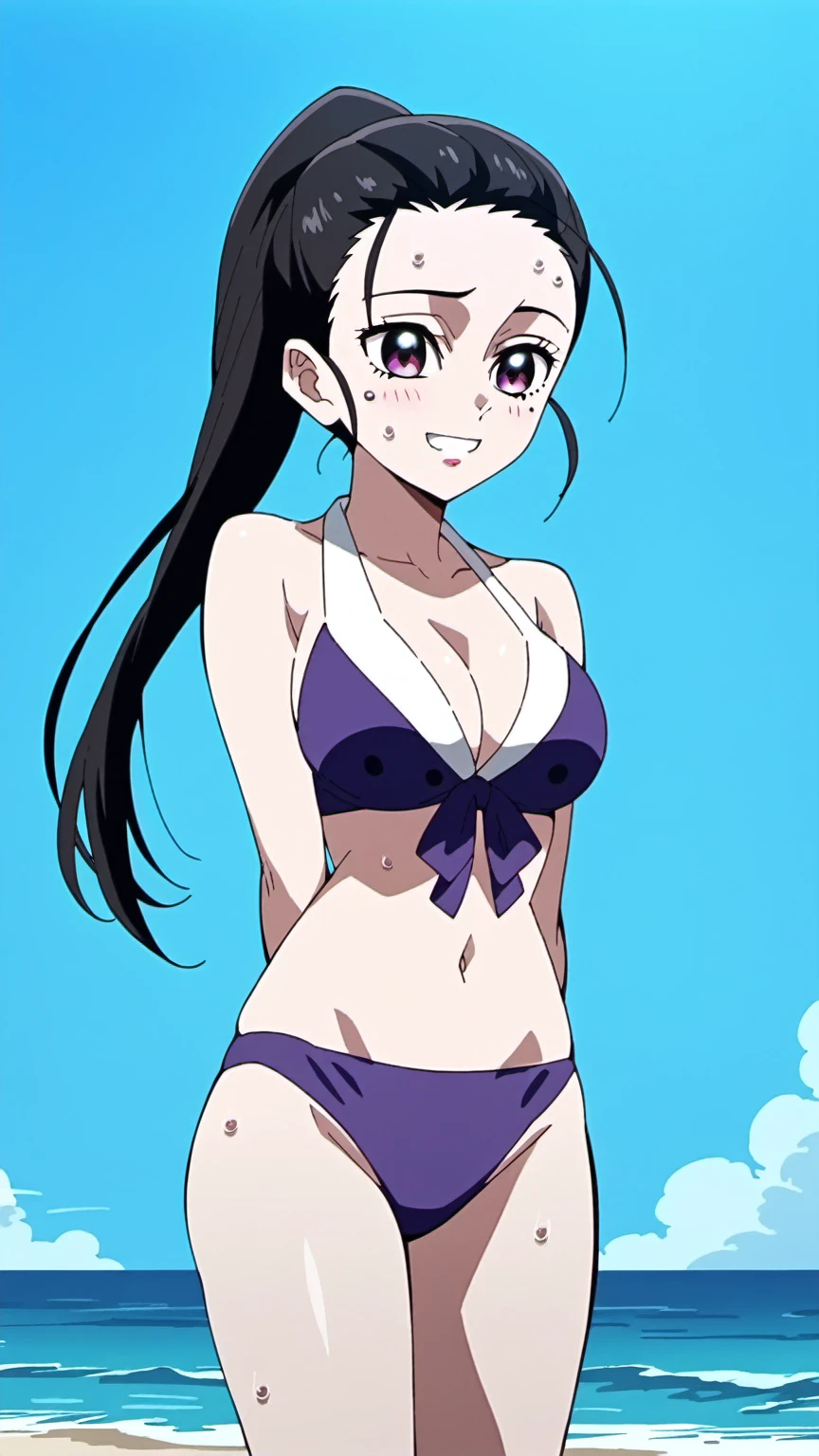 anime screencap, anime_core, score_9, score_8_up, score_7_up, anime screencap, h1nats0r0, black hair, 1girl, ponytail, long hair, purple eyes, Smiling, looking at the viewer, blue theme, blue background, cloudy sky, sunlight, sweat, , bikini , large , , belly button , collarbone, thighs, sea and beach, 