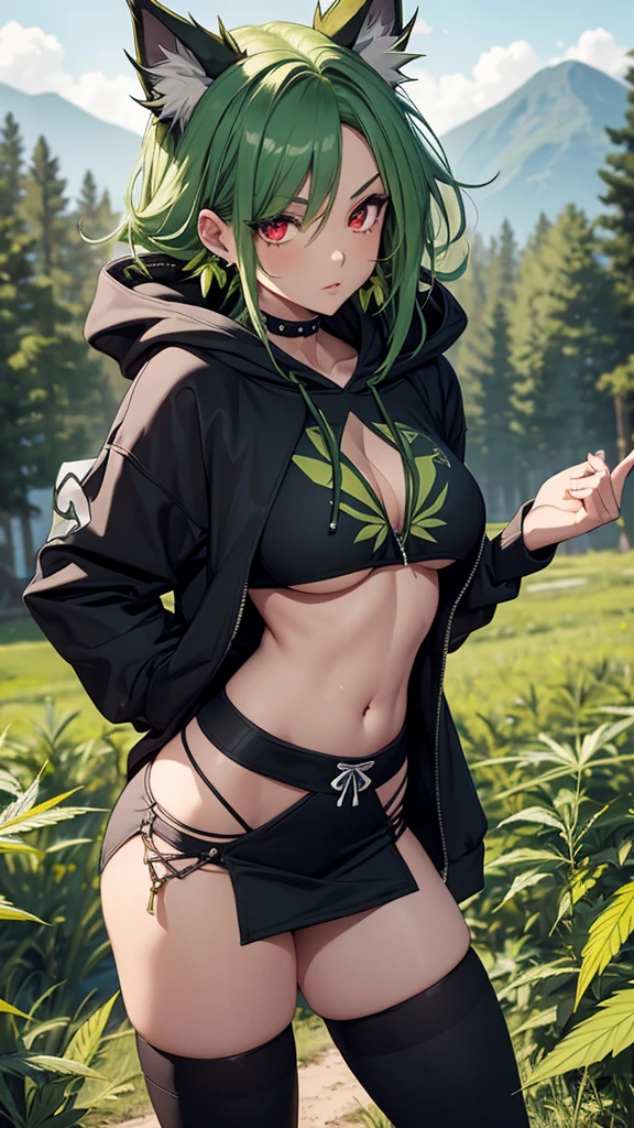  , Croped, , , slim waist, cropped hoodie , cropped hoodieunderboobhoodie, 1girl, 2 wolf ears, wolf tail,  crop hoodie, crop shorts,  hoodie, spiky hair, spiky fur, green hair, red eyes, field scenery, tight clothes, perfect eyes, perfect hands, clear resolution, full body,  skin,  plants, open hoodie,  scenery, black thigh high socks, full body, earrings, 1girl, skirt,  , slim waist, , slim waist, hair pulled back, 