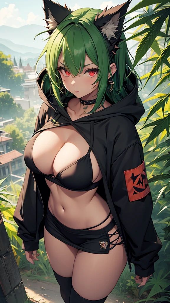 , Croped, , cleavage, slim waist, cropped hoodie underboob, cropped hoodieunderboobhoodie, 1girl, 2 wolf ears, wolf tail, marijuana crop hoodie, crop shorts, marijuana hoodie, spiky hair, spiky fur, green hair, red eyes,marijuana field scenery, tight clothes, perfect eyes, perfect hands, clear resolution, full body, cleavage skin, marijuana plants, open hoodie, marijuana scenery, black thigh high socks, full body, earrings, 1girl, skirt, cleavage, slim waist, cleavage, slim waist, hair pulled back,