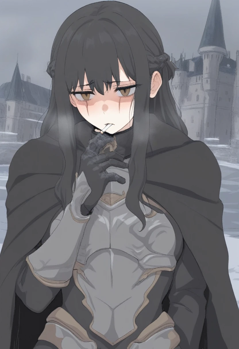 (masterpiece, best quality:1.2) {{Artist: sincos)}} 1woman, solo, sfw, clothed, french braid, long hair, tall, black hair, golden eyes, empty eyes, cold eyes, scar, black cloak, cape, black cape, castle background, cigarette in mouth, cold expression, wearing armor. 