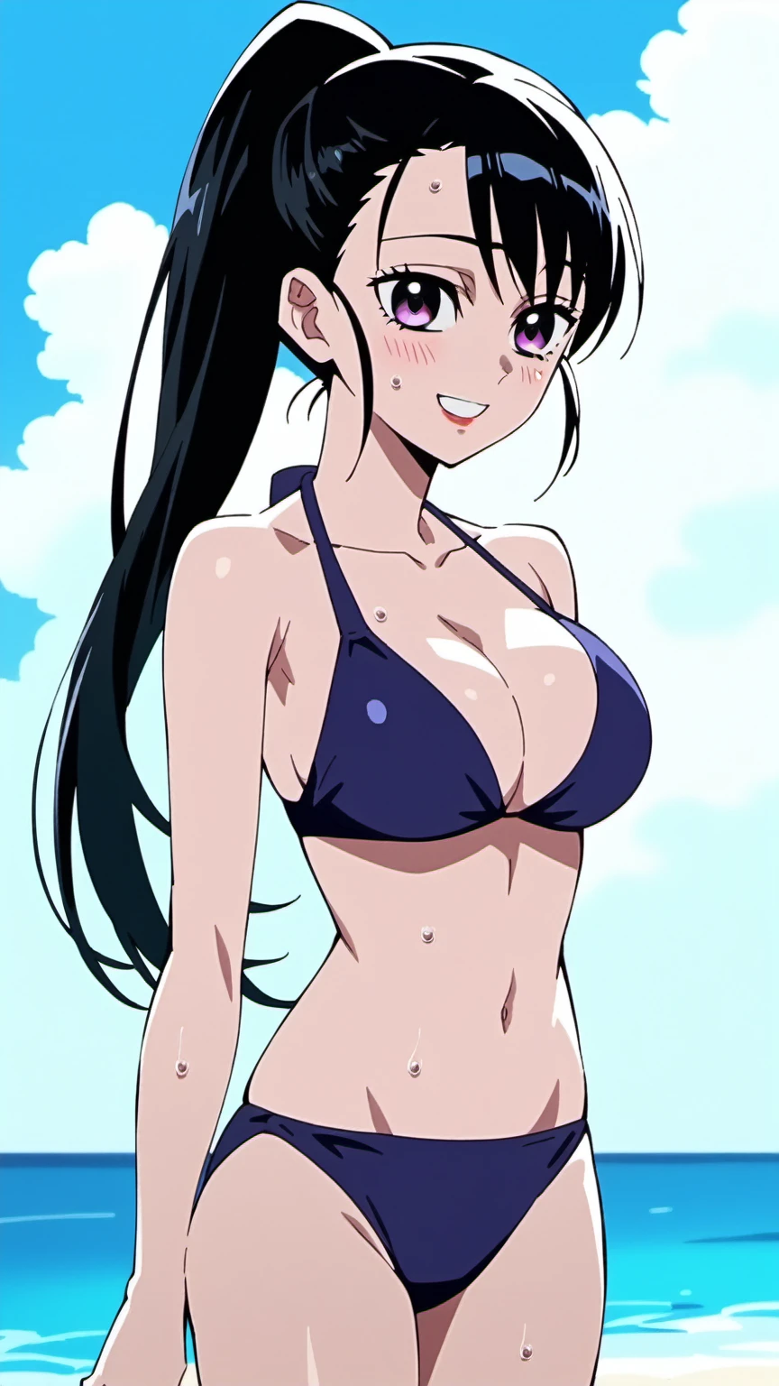 anime screencap, anime_core, score_9, score_8_up, score_7_up, anime screencap, h1nats0r0, black hair, 1girl, ponytail, long hair, purple eyes, Smiling, looking at the viewer, blue theme, blue background, cloudy sky, sunlight, sweat, , bikini , large , , belly button , collarbone, thighs, sea and beach, 
