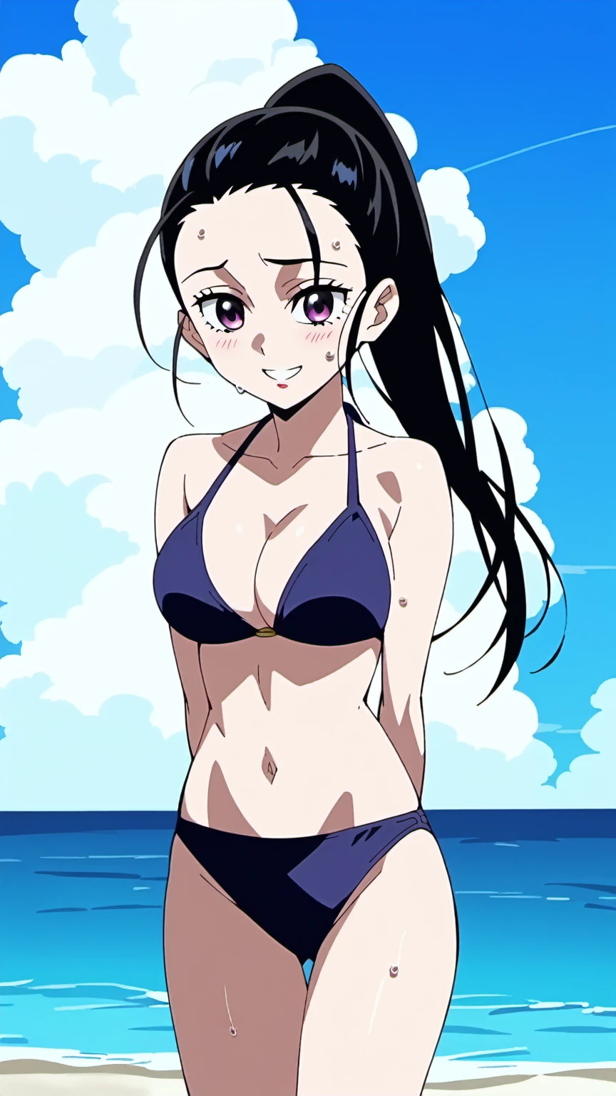 anime screencap, anime_core, score_9, score_8_up, score_7_up, anime screencap, h1nats0r0, black hair, 1girl, ponytail, long hair, purple eyes, Smiling, looking at the viewer, blue theme, blue background, cloudy sky, sunlight, sweat, orgasmic, bikini swimsuit, large breasts, cleavage, belly button exposed, collarbone, thighs, sea and beach, 